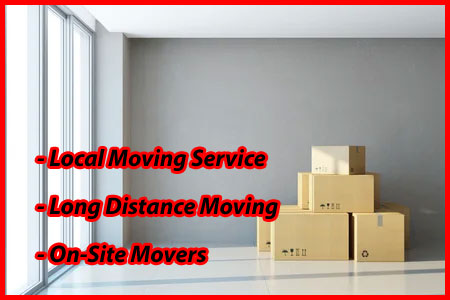 Packers And Movers Noida Sector 164